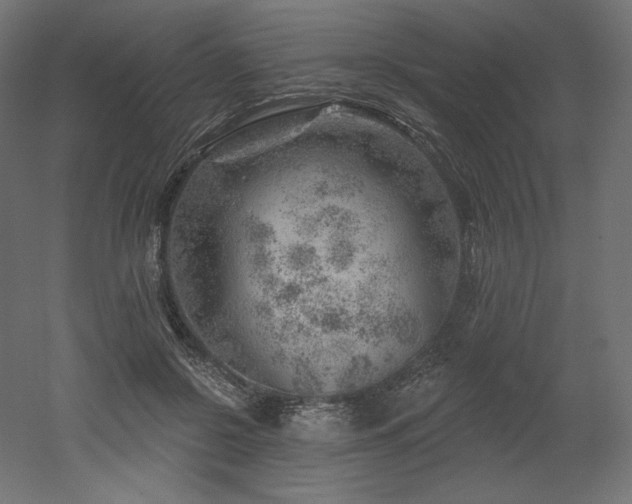 X0000052640550200507011349