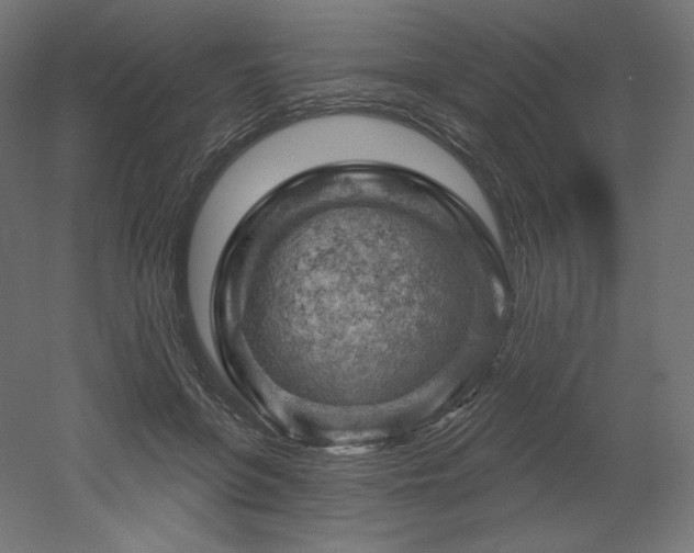 X0000052640551200507011349