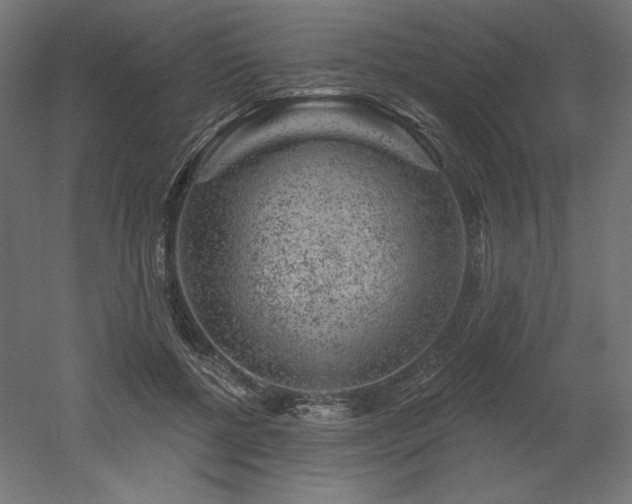 X0000052640552200507011349