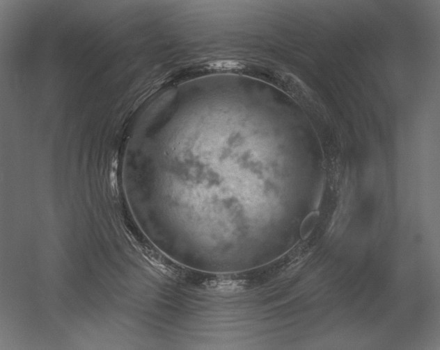 X0000052640553200507011349