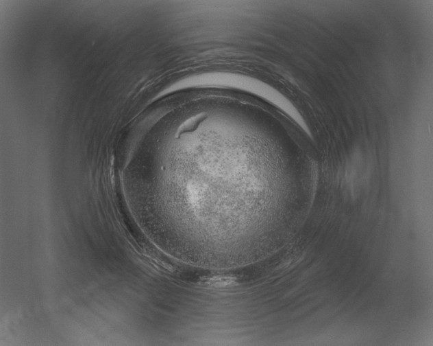 X0000052640554200507011349