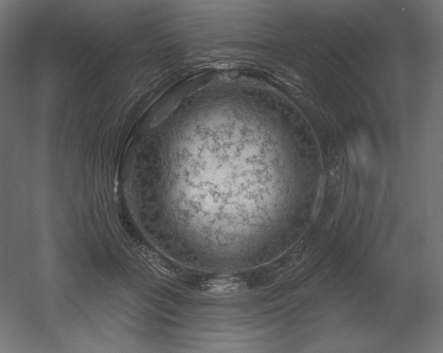 X0000052640555200507011349