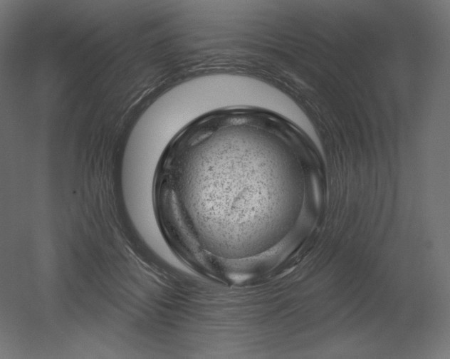 X0000052640556200507011349