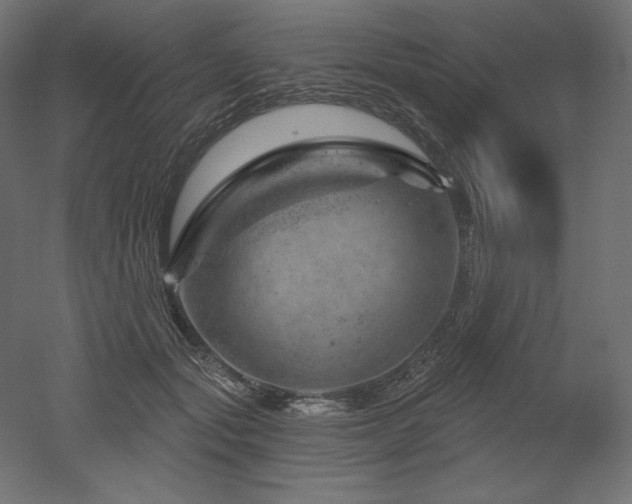 X0000052640557200507011349