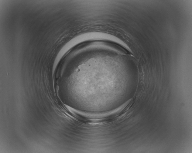 X0000052640558200507011349