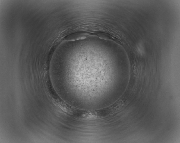 X0000052640559200507011349