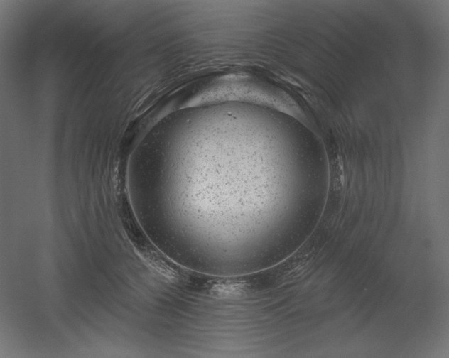 X0000052640560200507011349