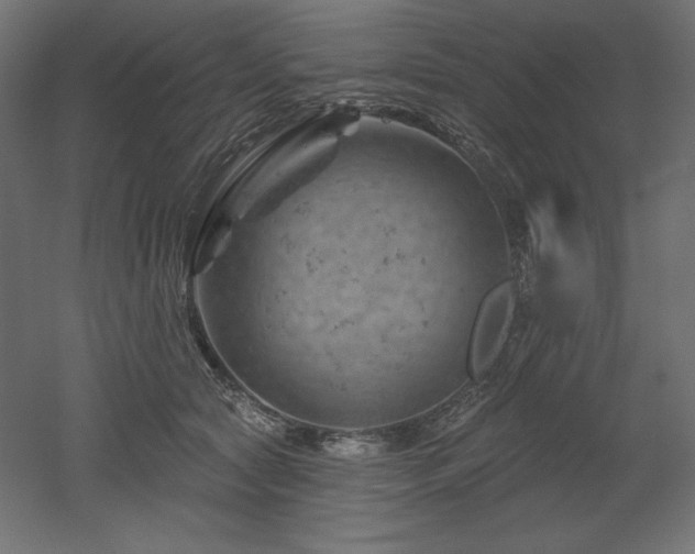 X0000052640561200507011349