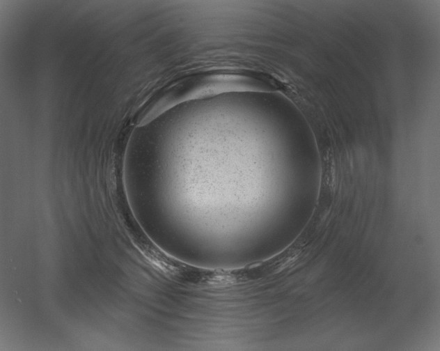 X0000052640562200507011349