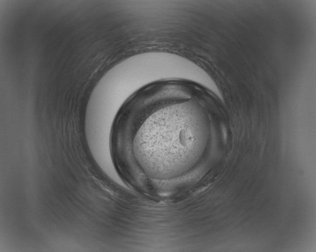 X0000052640564200507011349