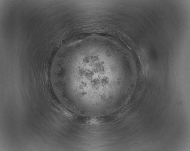 X0000052640565200507011349