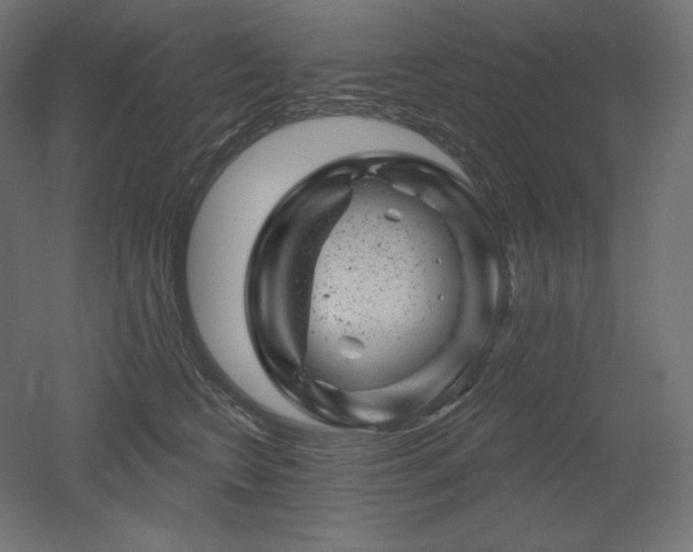 X0000052640566200507011349