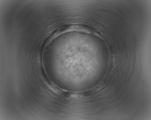 X0000052640568200507011349