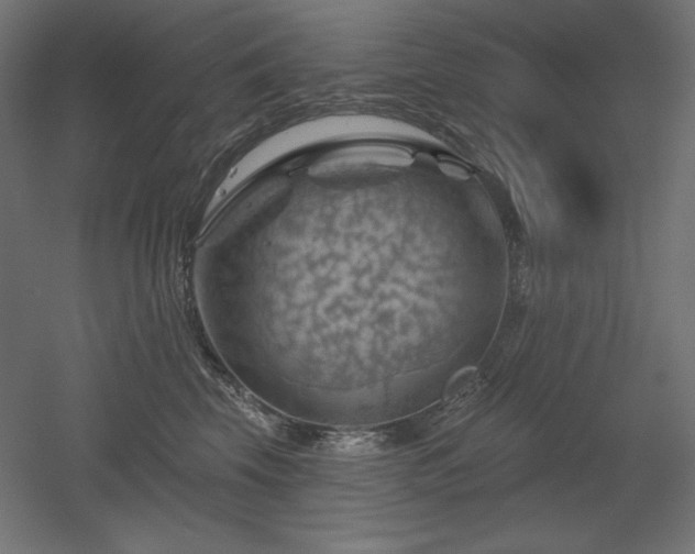 X0000052640569200507011349