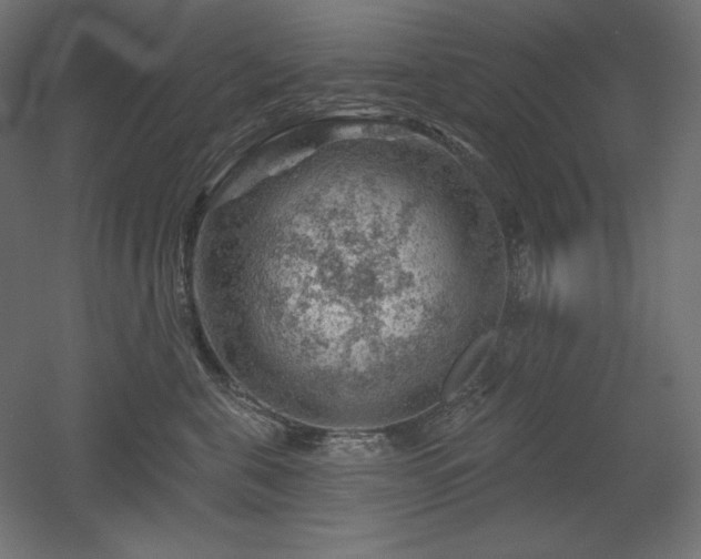 X0000052640571200507011349