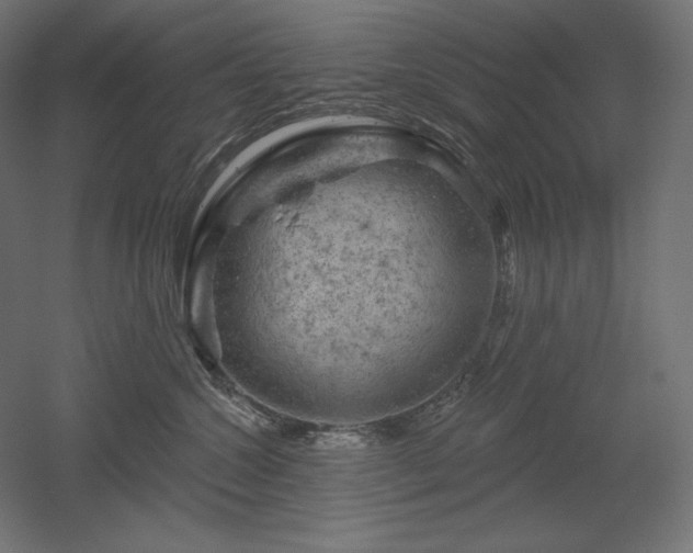 X0000052640572200507011349