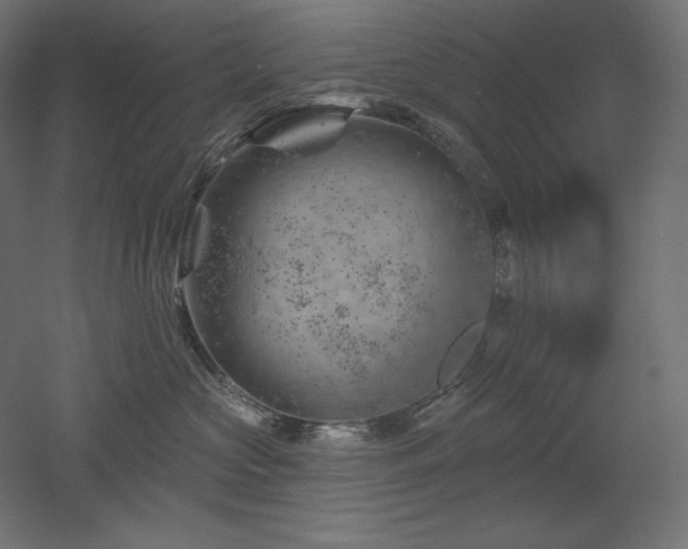 X0000052640573200507011349