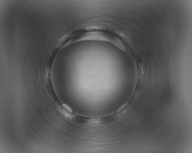 X0000052640574200507011349