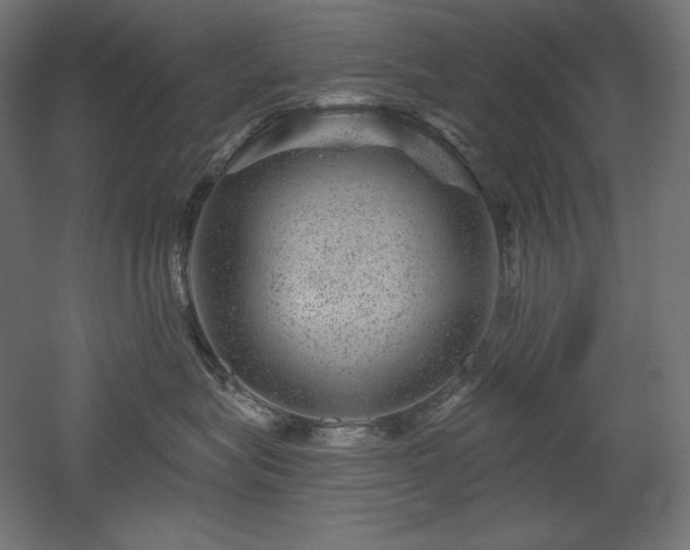 X0000052640575200507011349