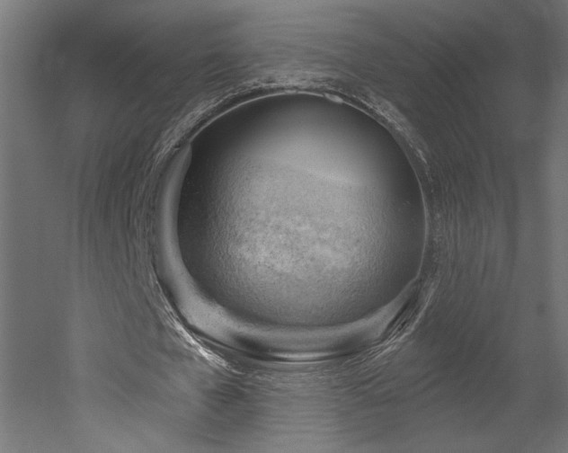 X0000052640577200507011348