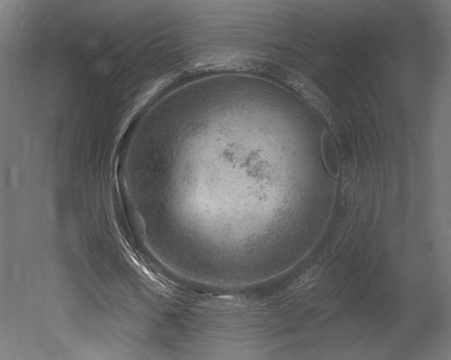 X0000052640578200507011348