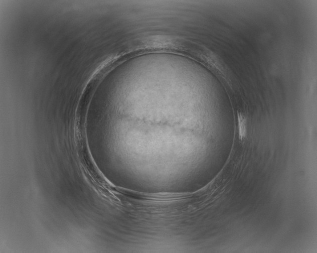 X0000052640579200507011348