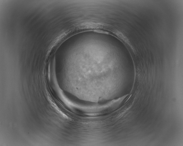 X0000052640581200507011348