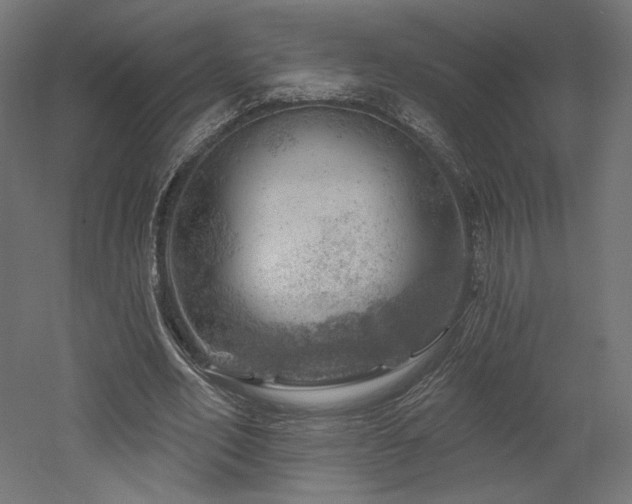 X0000052640582200507011348