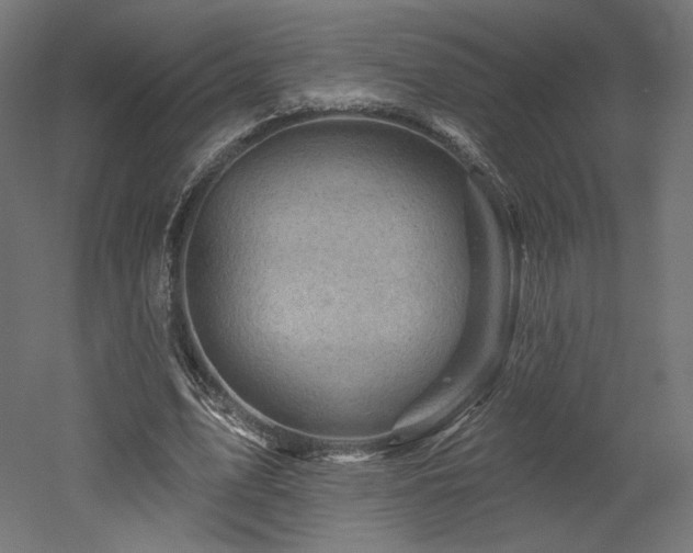 X0000052640583200507011348