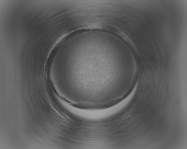 X0000052640584200507011348