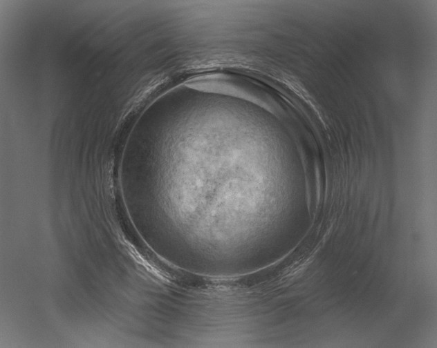 X0000052640585200507011348