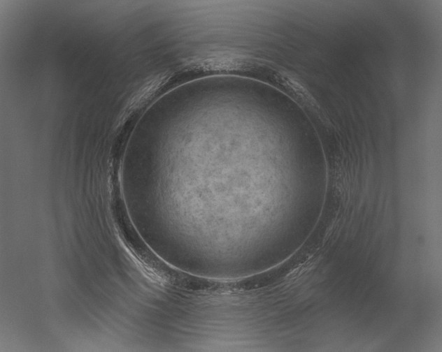 X0000052640586200507011348