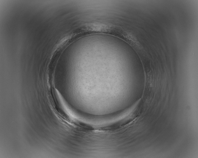 X0000052640587200507011348