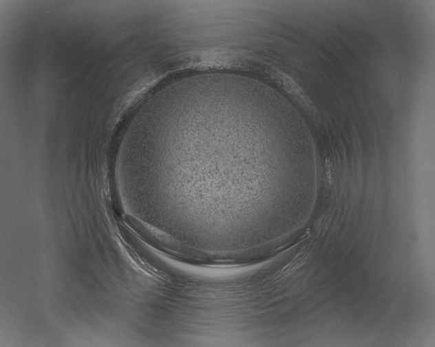 X0000052640588200507011348