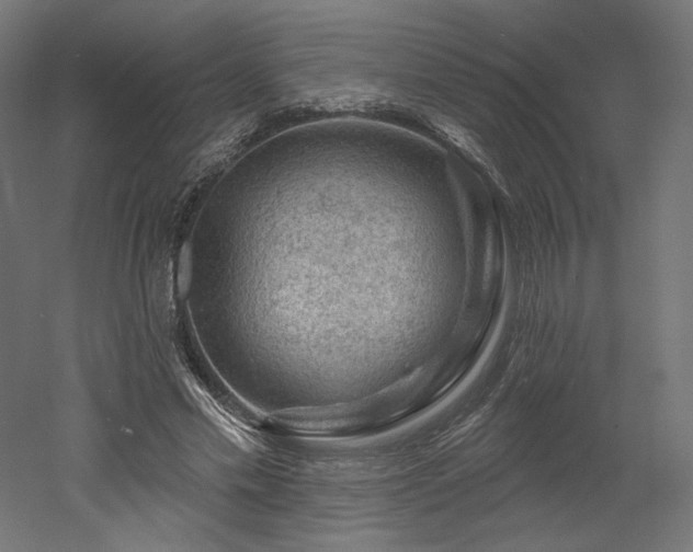 X0000052640589200507011348