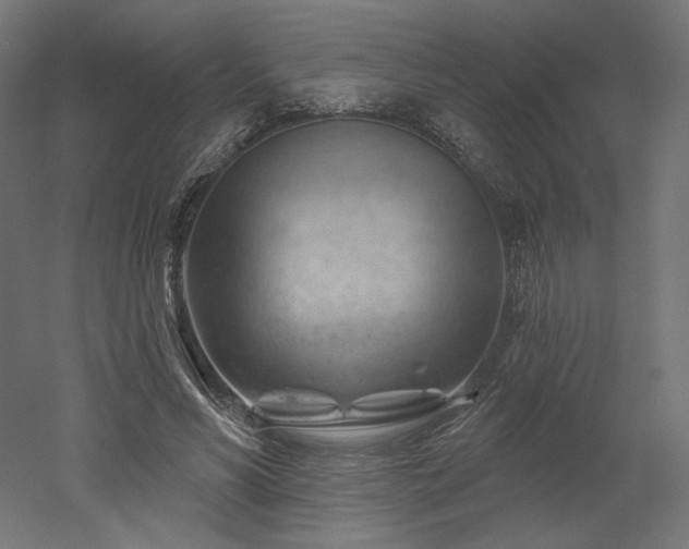 X0000052640590200507011348