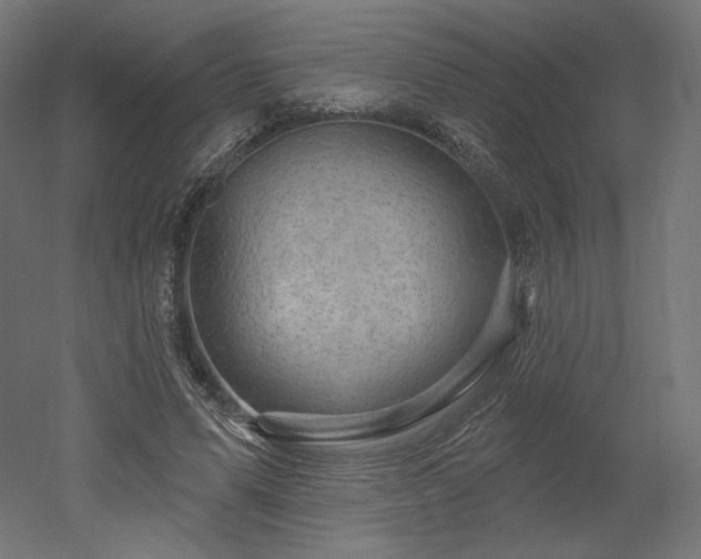 X0000052640591200507011348