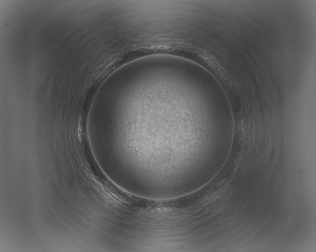 X0000052640593200507011348