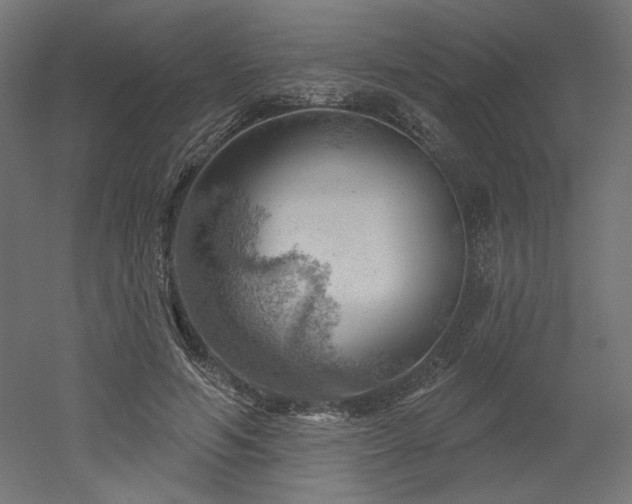 X0000052640594200507011348