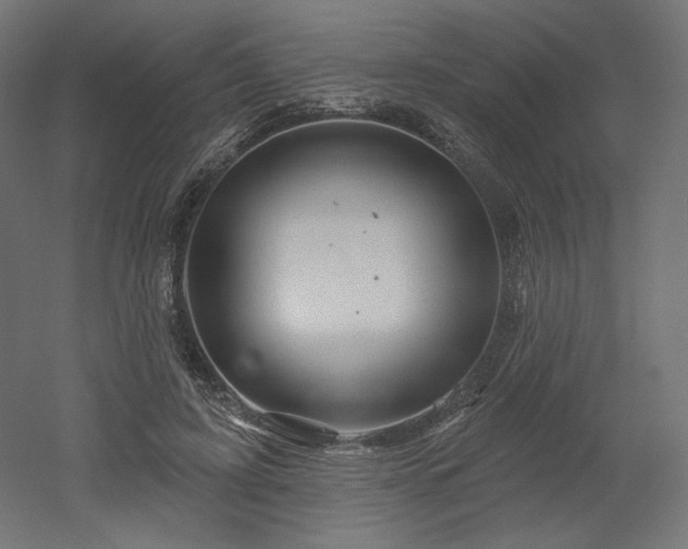 X0000052640595200507011348