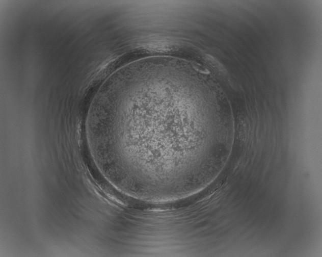 X0000052640596200507011348