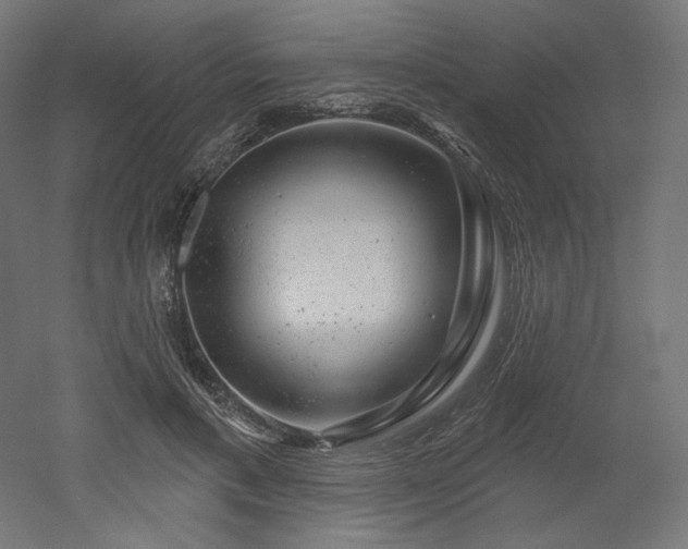 X0000052640597200507011348