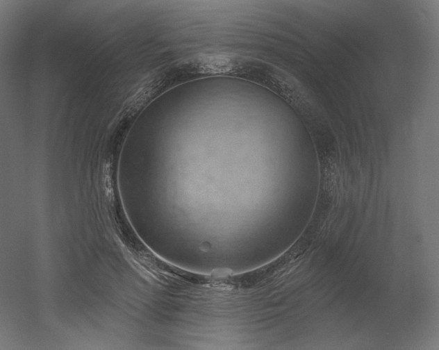 X0000052640598200507011348