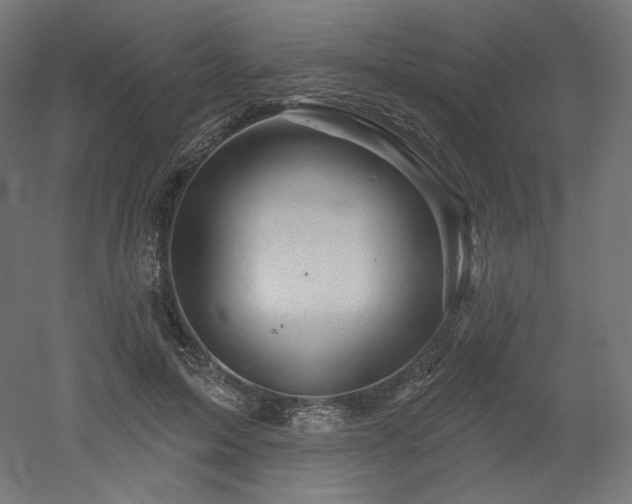 X0000052640599200507011348