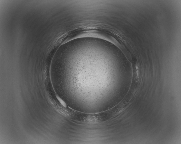 X0000052640600200507011348