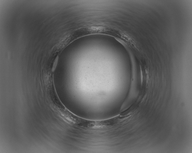 X0000052640601200507011348