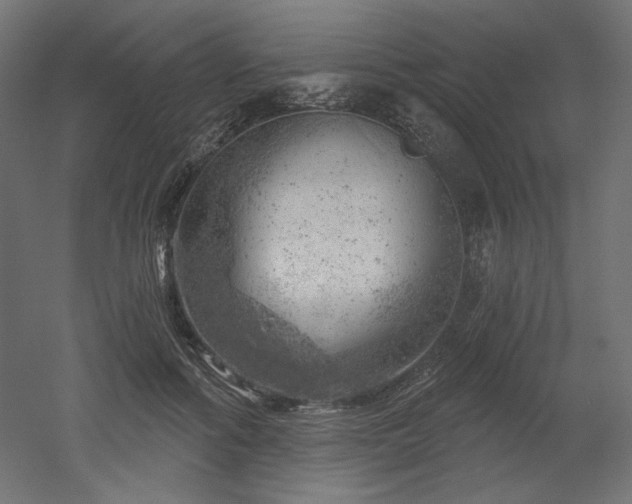 X0000052640602200507011348