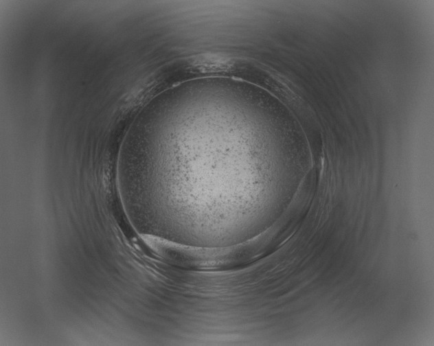 X0000052640604200507011348