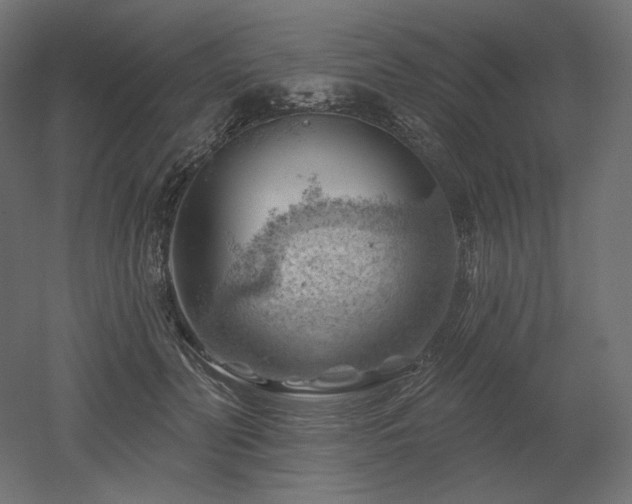 X0000052640606200507011348