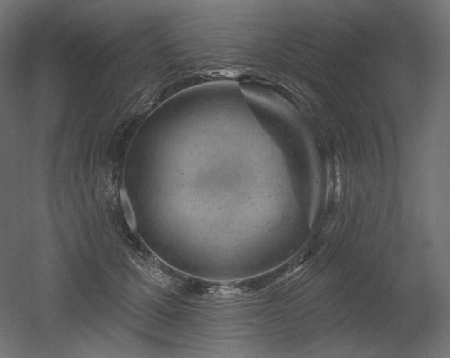 X0000052640607200507011348